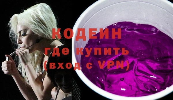 дурь Карпинск