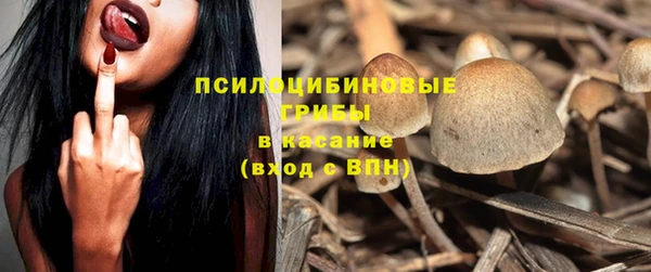 ГАЛЛЮЦИНОГЕННЫЕ ГРИБЫ Касимов