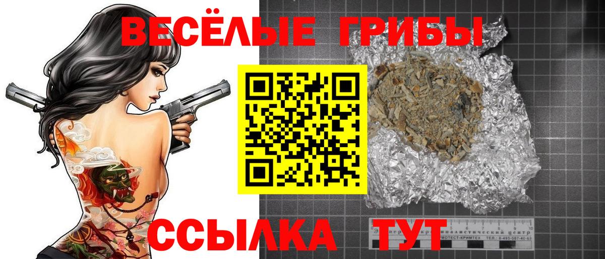 Псилоцибиновые грибы Psilocybe Кимры