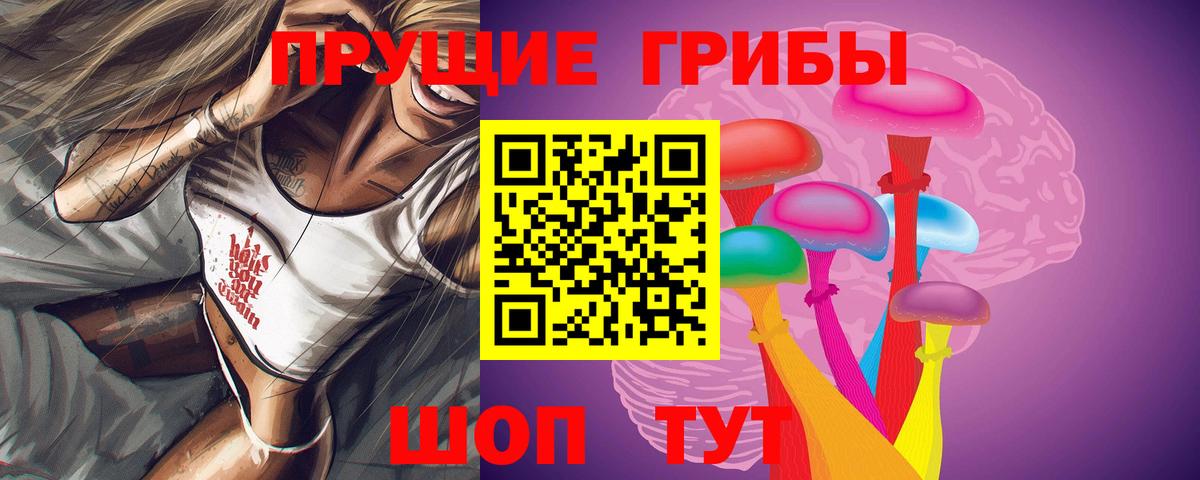 Кимры  Галлюциногенные грибы Psilocybe  Вход с VPN 