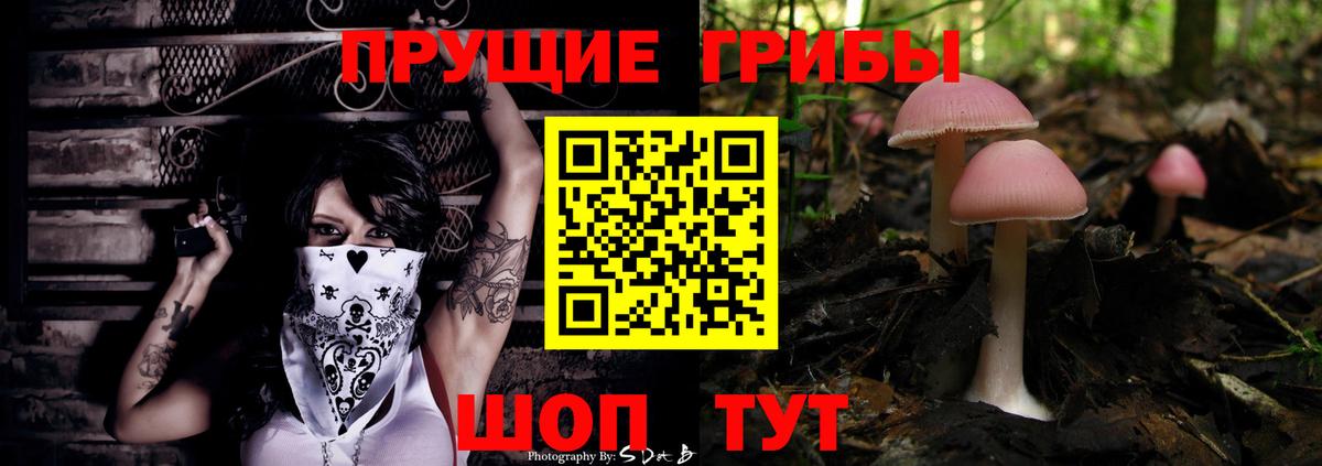 Псилоцибиновые грибы Magic Shrooms Кимры